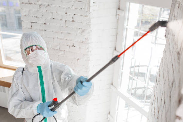 Professional Mold Removal in Baker, MT