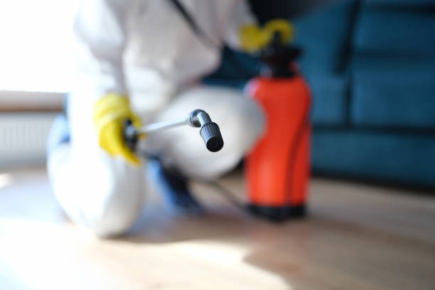 Best Asbestos and Lead Testing During Mold Inspection  in Baker, MT
