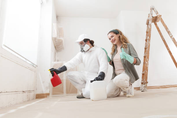 Mold Odor Removal Services in Baker, MT