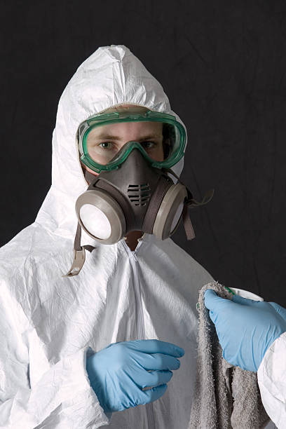Best Mold Damage Restoration  in Baker, MT